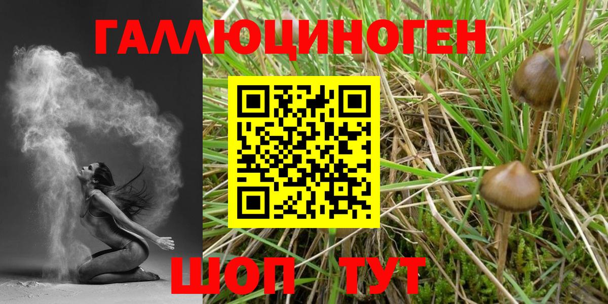 Галлюциногенные грибы Magic Shrooms Воркута